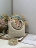 Сумка Dior Small Dior Toujours Hobo Bag замша