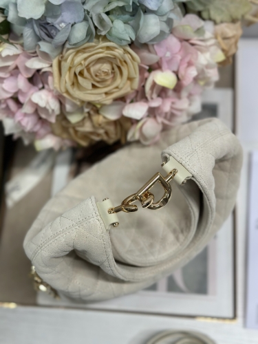 Сумка Dior Small Dior Toujours Hobo Bag замша