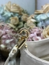 Сумка Dior Small Dior Toujours Hobo Bag замша