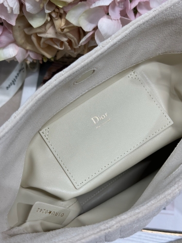 Сумка Dior Small Dior Toujours Hobo Bag замша