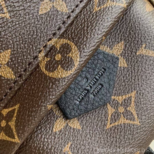 Рюкзак Louis Vuitton Palm Springs Mini