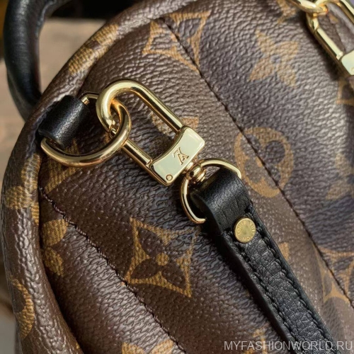 Рюкзак Louis Vuitton Palm Springs Mini