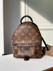 Рюкзак Louis Vuitton Palm Springs Mini