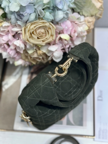Сумка Dior Small Dior Toujours Hobo Bag замша