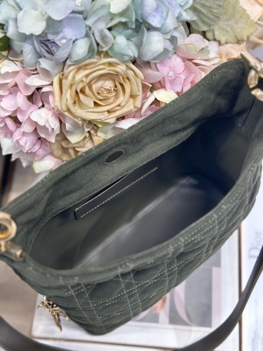 Сумка Dior Small Dior Toujours Hobo Bag замша