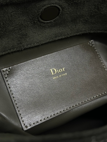 Сумка Dior Small Dior Toujours Hobo Bag замша