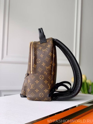 Рюкзак Louis Vuitton Palm Springs medium