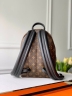 Рюкзак Louis Vuitton Palm Springs medium