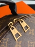 Рюкзак Louis Vuitton Palm Springs medium