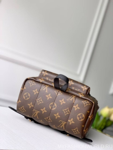 Рюкзак Louis Vuitton Palm Springs medium