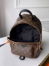 Рюкзак Louis Vuitton Palm Springs medium