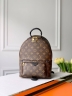 Рюкзак Louis Vuitton Palm Springs medium