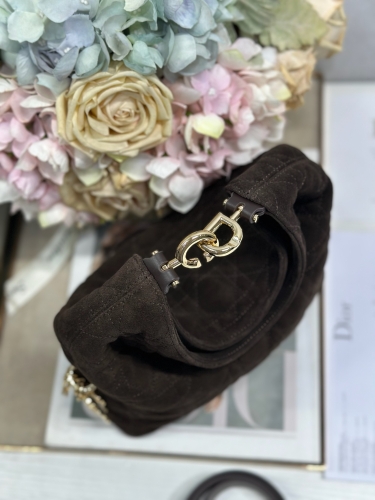 Сумка Dior Small Dior Toujours Hobo Bag замша