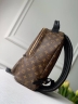 Рюкзак Louis Vuitton Palm Springs large