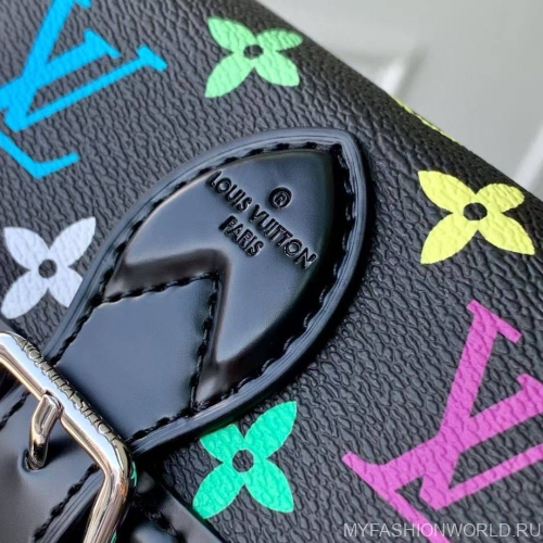 Сумка Louis Vuitton Nano Diane Murakami
