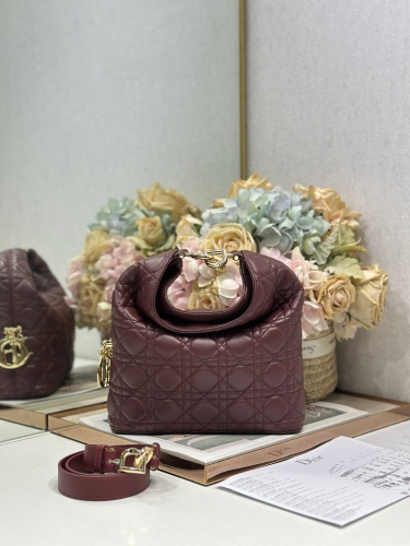 Сумка Dior Small Dior Toujours Hobo Bag