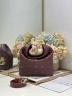 Сумка Dior Small Dior Toujours Hobo Bag