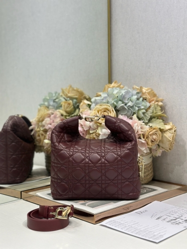 Сумка Dior Small Dior Toujours Hobo Bag