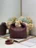 Сумка Dior Small Dior Toujours Hobo Bag
