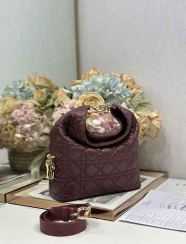 Сумка Dior Small Dior Toujours Hobo Bag