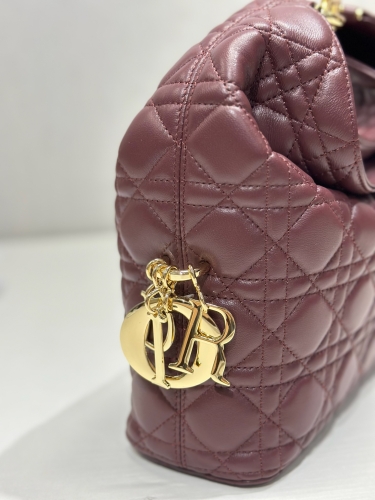 Сумка Dior Small Dior Toujours Hobo Bag