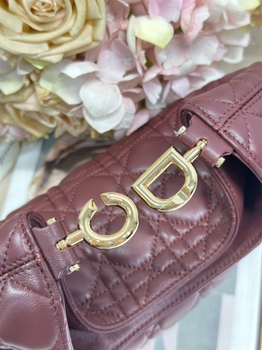 Сумка Dior Small Dior Toujours Hobo Bag