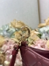 Сумка Dior Small Dior Toujours Hobo Bag