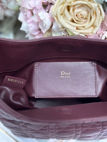Сумка Dior Small Dior Toujours Hobo Bag