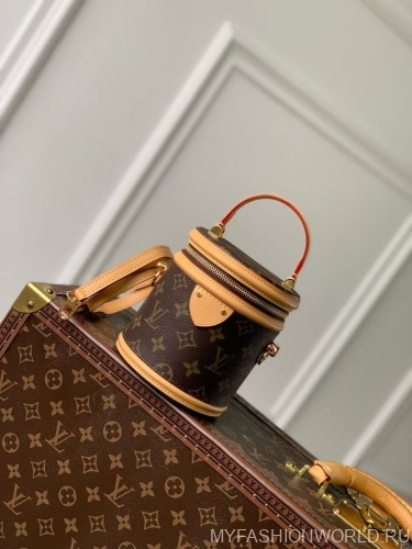 Сумка Louis Vuitton Nano Cannes Monogram
