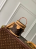 Сумка Louis Vuitton Nano Cannes Monogram