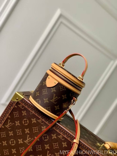 Сумка Louis Vuitton Nano Cannes Monogram