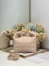 Сумка Dior Small Dior Toujours Hobo Bag 