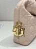 Сумка Dior Small Dior Toujours Hobo Bag 