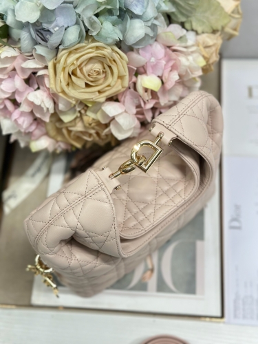 Сумка Dior Small Dior Toujours Hobo Bag 