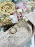 Сумка Dior Small Dior Toujours Hobo Bag 