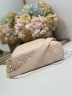 Сумка Dior Small Dior Toujours Hobo Bag 