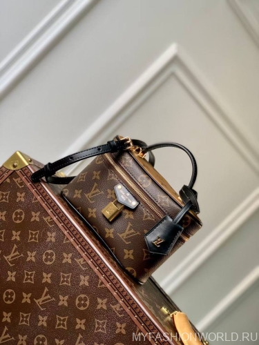 Сумка Louis Vuitton Vanity Chain Pouch