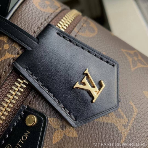 Сумка Louis Vuitton Vanity Chain Pouch