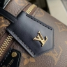Сумка Louis Vuitton Vanity Chain Pouch