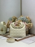 Сумка Dior Small Dior Toujours Hobo Bag 