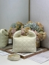 Сумка Dior Small Dior Toujours Hobo Bag 