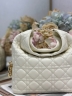 Сумка Dior Small Dior Toujours Hobo Bag 