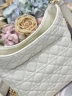 Сумка Dior Small Dior Toujours Hobo Bag 