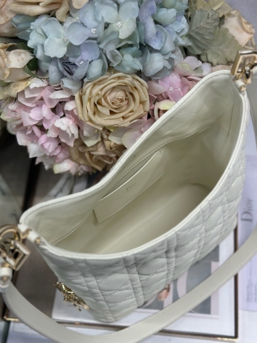 Сумка Dior Small Dior Toujours Hobo Bag 