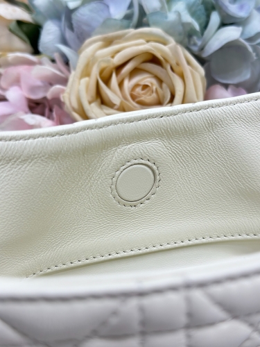 Сумка Dior Small Dior Toujours Hobo Bag 