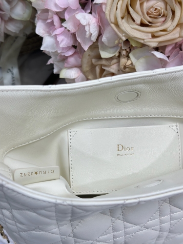 Сумка Dior Small Dior Toujours Hobo Bag 