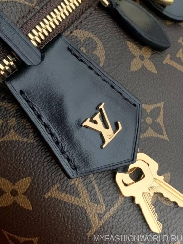 Сумка Louis Vuitton Vanity Chain Pouch