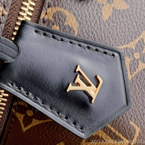 Сумка Louis Vuitton Vanity Chain Pouch
