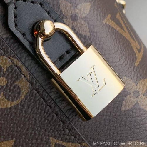 Сумка Louis Vuitton Vanity Chain Pouch