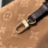 Сумка Louis Vuitton All in One